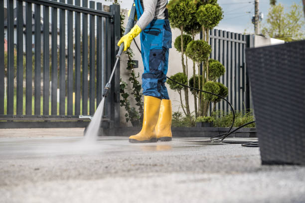 Best Solar Panel Cleaning  in Mcgregor, FL
